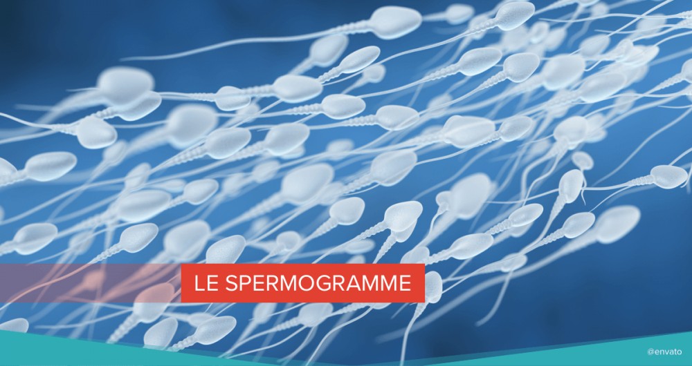 spermogramme